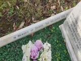 image of grave number 784626